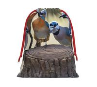 Yhlklwkszc Sacs cadeaux de Noël à quatre oiseaux avec cordon de serrage 3 tailles pour les vacances, les anniversaires et les fêtes de mariage