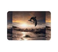 YHLKLWKSZC Tapis de bienvenue, joli imprimé dauphin, tapis de porte pour entrée, chambre, salle de bain, cuisine, 61 x 40,6 cm