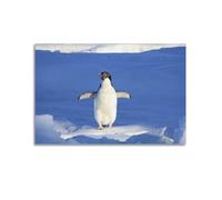 YHNGOL Poster animal sauvage - Pingouin perdu - Impression sur toile - Impression d'art moderne - Pour chambre à coucher - 30 x 45 cm