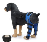 YHNNH Attelle de jambe réglable pour chien - Confortable pour les articulations et les muscles - Respirant et sécurisé - Pour chiens de petite et grande taille - Bleu Pro, taille M
