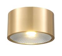 YHQSYKS Spot Rond à LED monté en Surface Spot de Plafond en Laiton brossé de 3 Pouces 5W 7W 12W Projecteurs COB antiéblouissants Downlight cylindrique monté en Surface