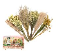 Yhsioaklo Literie pour hamster - Literie de fleurs de foin pour hamster - Décoration d'habitat floral | Décoration de cage de maison pour hamster naturel pour animaux de compagnie d'Inde