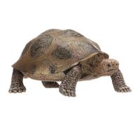 Yhsioaklo Modèle de Figure de Tortue | Jouets modèle de Cycle de Vie des Figurines de Tortue du Monde | Réaliste Sea Marine Animal Figures Jouets pour Éducation Enseignement Fête Dec