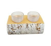 Yhsioaklo Rebord d'alimentation magnétique pour gecko - Gamelle à double bol | Accessoires de réservoir magnétique sécurisés pour lézard et araignée | Station surélevée pour dragon barbu, grenouilles