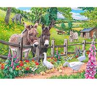 YHX926 Diamond Painting,Âne Animal Imit,5D Broderie Diamant kit Complet,DIY Perle Diamant à Coller Tableau Peinture,Canevas Point de Croix Kits pour la Deco Chambre 30x40cm