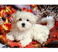 YHX926 Diamond Painting,Chien de la Maison des Animaux,5D Broderie Diamant kit Complet,DIY Perle Diamant à Coller Tableau Peinture,Canevas Point de Croix Kits pour la Deco Chambre 30x40cm