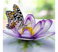 YianHien Carte Pop Up avec Fleurs de Cosmos et Papillon, Élégante Carte Fête des Mères pour Maman, Carte de Vœux Faite à La Main pour Maman, Grand-mère, Petite Amie, Épouse, Cadeau Anniversaire