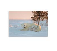 YIBIN Affiches d'animaux, ours polaire et neige, peinture murale décorative sur toile et image d'art moderne pour chambre à coucher, 30 x 45 cm