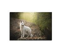 YIBIN Poster animal chien berger suisse blanc, peinture décorative sur toile - Impression d'art moderne pour chambre à coucher - 20 x 30 cm