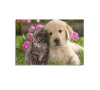 YIBIN Poster d'animaux mignons chiens et chats - Impression sur toile - Décoration murale moderne pour chambre à coucher - 20 x 30 cm