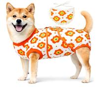 YibooAura Combinaison de convalescence chirurgicale pour chien femelle/mâle après stérilisation/stérilisation, ensemble bandana inclus, collier électrique de remplacement et cône anti-léchage des