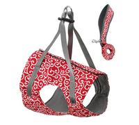 YIBOZI Harnais pour chat - Grand harnais pour chat - Design évasé - Laisse pour petits chats - Avec laisse - Gilet de marche