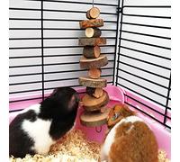 Yicare Lot de 2 Jouets à mâcher en Bois de Pommier Bio Naturel pour Petits Animaux Convient pour Lapins, Chinchilla, cochons d'Inde, Hamsters