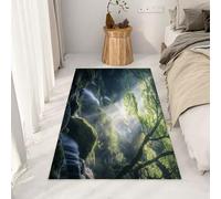 Yidbhsse Tapis Arbre Botanique Lavable Antidérapant, Tapis De Sol Montagne Forêt Decor Cuisine, Petit Tapis Chambre Paysage Naturel Moelleux Poils Courts, paillasson Interieur Matelas Entree 60x90 cm