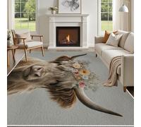 Yidbhsse Tapis D'éveil Bovins des Highlands Moelleux Chambre, Tapis Mignon Animaux Salon Lavable Antidérapant, Tapis De Sol Vache Moderne Decor Cuisine 60x90 cm pour Entree Interieur