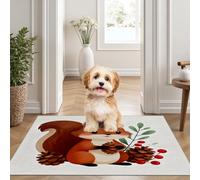 Yidbhsse Tapis D'éveil Écureuil Moelleux Chambre, Tapis Mignon Animaux Salon Lavable Antidérapant, Tapis De Sol Dessin Animé Decor Cuisine 60x90 cm pour Entree Interieur