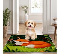 Yidbhsse Tapis D'éveil Mignon Animaux Moelleux Chambre, Tapis Renard Feuille Salon Lavable Antidérapant, Tapis De Sol Dessin Animé Decor Cuisine 60x90 cm pour Entree Interieur