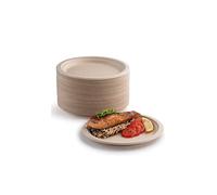 YIEN Lot 100 assiettes en carton super rigides 100 % biodégradables et compostables respectueuses l'environnement très résistantes recyclables, parfaites les pique-niques et barbecues (17,8cm)