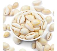 YIEUR Lot de 200 perles en coquillage naturel avec trou à enfiler Beige Spirale Kauri Coquillages de bricolage de 13 à 14 mm pour la fabrication de bijoux ou la décoration de perles de coquillages
