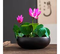YIGEBAG Pot de Fleur de Bol de Lotus, Bol Rond de Lotus, Bol de lys d'eau Claire, Bol de Lotus cultivé dans l'eau intérieure, Plantes hydroponiques succulentes Florales sans Support (Noir+m)