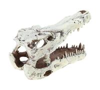 YIGZYCN Aquariums Paysage Alligators Crâne Résine Aquariums Décorations Art Terrarium Habitat Ornements Photo Accessoires Décoration pour Aquarium Petits