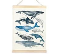 YIGZYCN Poster éducatif en forme de baleines pour salle de classe - Bannières murales - Baleines - Animaux marins - Cintre pour tout-petits