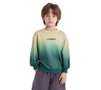 Yihuimin Couleur Dégradée Entraînement Au Jogging Garçon Haut De Sport À Manches Longues Impression Lettres Casual À Porter Au Quotidien Enfant 3-9 Ans