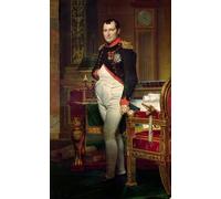 YIMACBJXX Célèbre Affiches Imprimées Tecoration Murale Napoléon Bonaparte dans son étudeTuileries de Jacques Louis David Moderne Art Mural Pour la Décoration de la Chambre à Coucher 60x90cm