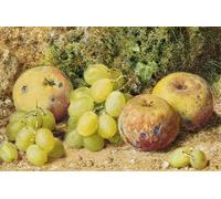 YIMACBJXX Célèbre Impressions sur Toile Image D'illustration fruits et raisins blancs par William Henry Hunt Art Mural Classique Pour la Décoration Murale 60x90cm