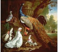 YIMACBJXX De Célèbres Tableaux Affiche Mur Art Oeuvre d'art Tableau Autorité par Johann Sadeler Impression Peinture Huile Pour la Décoration du Salon 60x90cm