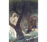 YIMACBJXX De Célèbres Tableaux Affiche Mur Art Oeuvre d'art Tableau Le Christ est apparu à saint Pierre Le Christ apparaissant à saint Pierre par Jacques Pour la Décoration du Salon 60x90cm