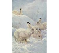 YIMACBJXX De Célèbres Tableaux Affiche Mur Art Oeuvre d'art Tableau Lièvre variable d'après Wilhelm Kuhnert Impression Peinture Huile Pour la Décoration du Salon 60x90cm