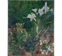 YIMACBJXX De Célèbres Tableaux Affiche Mur Art Oeuvre d'art Tableau Orchidées de la Serre du Petit Gennevilliers par Gustave Caillebotte Impression Peinture Huile Pour la Décoration du Salon 60x90cm