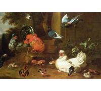 YIMACBJXX De Célèbres Tableaux Decoration Toile Graffiti Art Mural Volailles dans un parc de Melchior De Hondecoeter Toile Wall Art Pour les Décorations pour la Maison 60x90cm