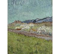 YIMACBJXX De Célèbres Tableaux Decoration Toile Graffiti Art Mural Vue des Alpilles de Vincent Van Gogh Toile Wall Art Pour les Décorations pour la Maison 60x90cm
