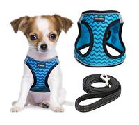 YIMEIS Ensemble Harnais et Laisse pour Chiots et Chats de Petite, Moyenne et Grande Taille, Harnais Anti-Traction en Maille Douce, Gilet réfléchissant réglable, Bleu, XS