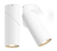 YindaLux Lot de 2 spots LED encastrables à intensité variable - Orientables - Blanc - Avec module LED 5 W 500 lm - 230 V - 3000 K/4000 K/6500 K - Spot réglable en saillie - Pour mur et plafond