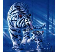 YINGXIN134 Puzzles pour Adultes 5000 pièces Deux Tigres Blancs Puzzles 5000 pièces pour Adultes Enfants Jeu de Puzzle Jouets Cadeau 156,5 × 105,5 cm