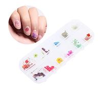 Yinhing 12 Couleurs Fleurs Séchées Kit de Décor D'Ongles (C costume) | Véritables fleurs pressées pour pointes de gel acrylique, boîte étanche sécurisée, idéale pour la conception de manucure
