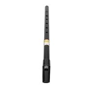 Yinhing C Flûte de Vent clé, 6 Trous Sifflet Irlandais pour un Ton Clair, Alliage en Aluminium, Novice Amical, Idéal pour le Yoga, la Méditation, le Salon de beauté