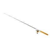Yinhing Canne à Pêche Télescopique de Poche, Ensemble combiné avec Moulinet en Alliage d'aluminium, équipement de Pêche Portable pour la sur Glace en Bateau, Grands Amateurs de (Gold)