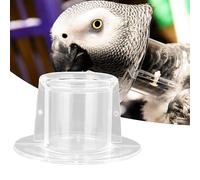 Yinhing Collier de Protection pour Morsures d'animaux Domestiques, Plumes, Cicatrisation des Blessures, pour Oiseaux, Collier de Récupération en Acrylique pour Le Soin et l'entraînement des (L
