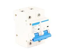 Yinhing Disjoncteur Miniature DZ47 125 2P, Interrupteur de Fuite 125A pour les Performances dans les Systèmes électriques Basse Tension (C100A)