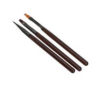 Yinhing Ensemble de Pinceaux pour Nail Art, Poignée Ergonomique, Outils Polyvalents pour la Peinture des Ongles, pour Professionnels et Débutants, 2 Boîtes avec Pinceaux Dégradés Multicolores pour les