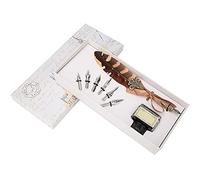 Yinhing Ensemble de Stylos à Plume Rétro Européens avec Plumes en Acier Inoxydable, Instrument d'écriture élégant avec Boîte d'emballage Luxueuse pour les Amateurs de Calligraphie et 'art