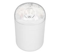 Yinhing Humidificateur de Fleur éternelle, Réservoir D'eau de 500 Ml, Humidificateur de Bureau alimenté par USB avec Lumière 7 Couleurs, pour Chambre à Coucher, Bureau, Salon (WHITE)