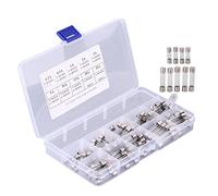 Yinhing Kit Assorti de Tubes en Verre pour Voiture, 100 Pièces, 5x20mm, 6x30mm, 0,2a à 30a, pour Circuit Automobile, Soigneusement organisé dans une Boîte en Plastique