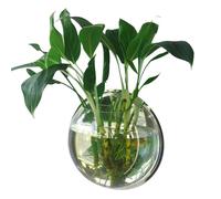 Yinhing Pot de Fleurs de Poisson Suspendu en Acrylique, Bol d'aquarium Mural avec Miroir, Décor Permettant de Gagner de l'espace pour Les Plantes et la Vie des Poissons Rouges (150 mm de diamètre