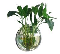 Yinhing Pot de Fleurs de Poisson Suspendu en Acrylique, Bol d'aquarium Mural avec Miroir, Décor Permettant de Gagner de l'espace pour Les Plantes et la Vie des Poissons Rouges (230 mm de diamètre