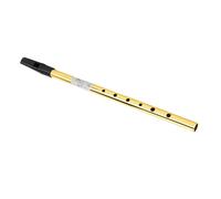 Yinhing Sifflet Irlandais à 6 Trous, Son Clair avec Réglage Précis, Idéal pour les Débutants et les Musiciens, Métal ABS, étui de Protection Inclus (C Tune)